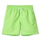 Board Shorts Neon Green