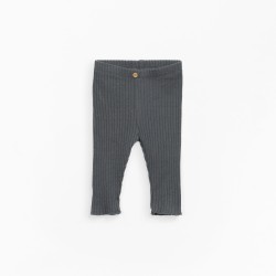 Ribbed Legging Bruno(2AN11651)