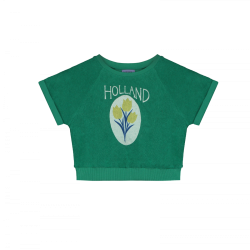 Amsterdam sweat-  grass