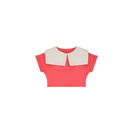 Odissey Crop Sweatshirt